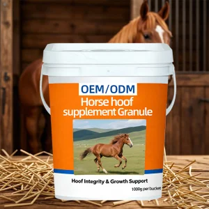 OEM/ODM Premium Biotin Formula for Equine Hoof Health Support
