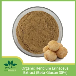Premium Organic Lion's Mane Mushroom Extract with High Beta-Glucan Content