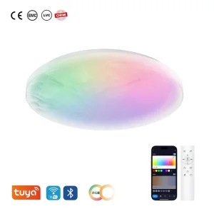 Smart WiFi Minimalist LED Ceiling Light