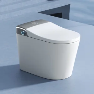 New Design Save Water 110V/220V Floor Standing Ceramic Automatic Wc Smart Toilet