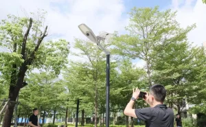 50W Solar Street Light