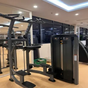 Commercial Pull Up Machine