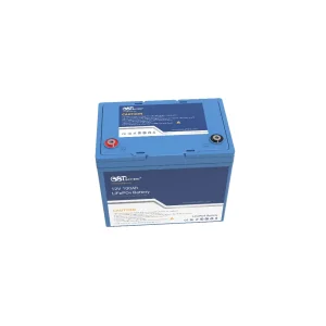 12V 100A Durable Electric Vehicle LFP Battery for Camping Use