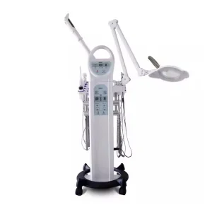 Top Beauty 10 1 Multifunctional High Accuracy Facial Beauty Machine Vacuum Facial Cleansing LED Magnifying Lamp Hot Steamer