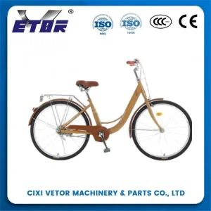 China T100 20-inch aluminum alloy mountain bike