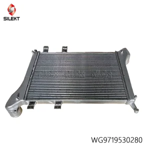 Wg9719530280 Truck Spare Parts for HOWO Cooling System Air Conditioner Intercooler
