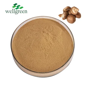 4: 1 Extrato de Cogumelo Shiitake para Bebidas Energéticas e Lanches Pós-Treino