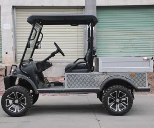 Hdk Novo UTV 2 Lugar Buggy