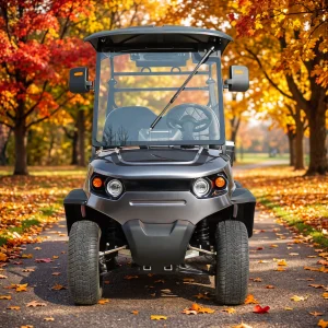 Commercial Electric Golf Cart Smart Dashboard