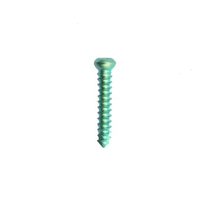 Locking Screw Factory Ho Chi Minh City