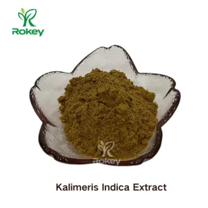 Extrato Herbal Premium para Suporte ao Bem-Estar Pó de Extrato de Kalimeris Indica
