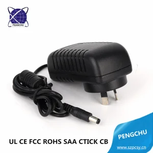 Wall Mounted 15V 1A 15W AC/DC Switch Mode Power Adapter for LED Light/LCD/CCTV Camera