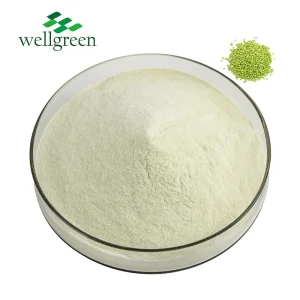 Hot Selling Plant Protein Mung Bean Protein Powder 90% Isolate Powder