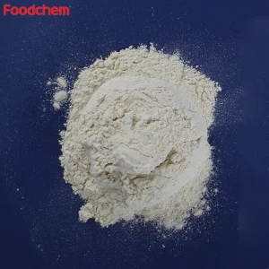 Soy Protein Isolated Free Sample
