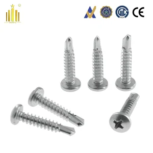 DIN7504m Weatherproof SS304 Pan-Head Self-Drilling Screws for Outdoor Structure Fastening