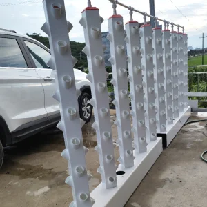 Hydroponic Vegetable Growing System