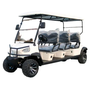 TONGCAI Electric Golf Kart 4 Seater