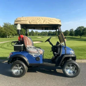 Luxury 2 Seat Electric Golf Cart