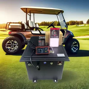 Rechargeable Electric Golf Cart Lithium Ion Battery