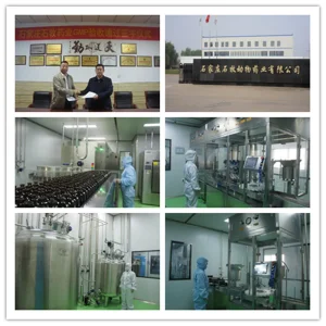 GMP Certified Injection