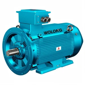 Wolong Yfb3 Series