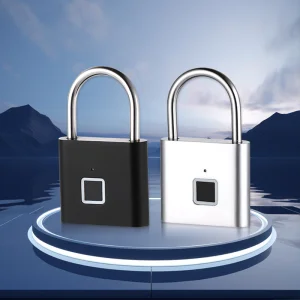 High Cost Performance Zinc Alloy Fingerprint Smart Padlock Cloud Waterproof Outdoor Anti-Pry Safety Lock for Aluminum OEM/ODM