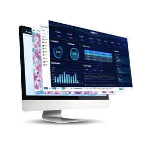 Digital Intelligent Pathology Ai Assisted Diagnosis System