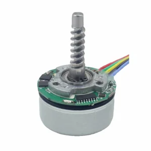 Customizable 1950RPM BLDC Motor