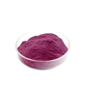 Halal Certified Standardized Cabbage Leaf Extract Food &amp; Cosmetic Grade for Functional Food and Skincare Manufacturing