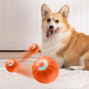 Dropshipping Premium Intelligent USB Rechargeable Electric Rolling Ball