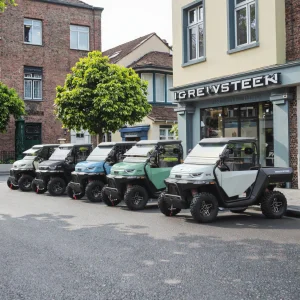 20KW Electric 4x4 Street Legal UTV
