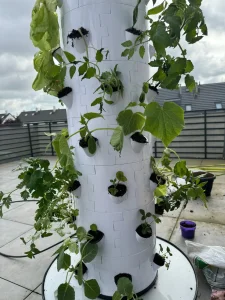 Hydroponic Grow Kit with Film Greenhouse Compatibility and Water Saving Design