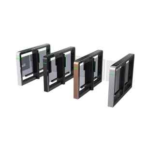 Biometric Swing Gate