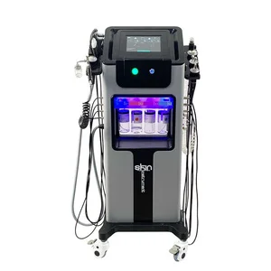 Multifunctional Stainless Steel Facial Care Machine