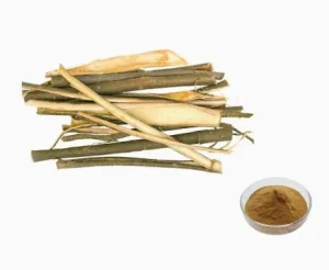 Fornecimento de Fábrica Extrato de Casca de Salgueiro Branco Salicina de Salgueiro 15%-50% Extrato em Pó de Planta Herbal
