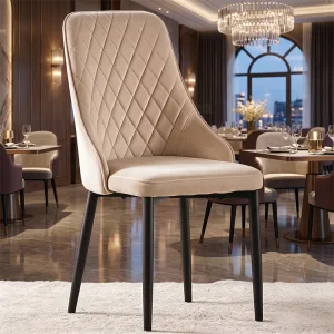 Modern Stainless Steel Dining Chairs