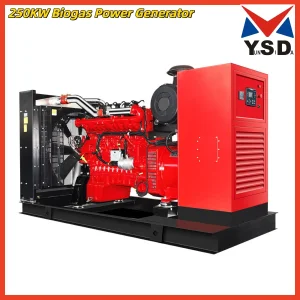 كفاءة عالية 50/60Hz 1500rpm وقود مزدوج خشب غاز ديزل نيتروجين محرك ويشاي باور مولد ليروي سوماير بيومس سي إن جي إل بي جي إل إن جي 250kw مجموعة مولد الغاز الحيوي