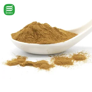 Astragalus Root Extract