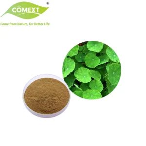 Amostra Grátis Comext Fábrica Direta Extrato de Planta 10%-95% Asiaticosídeo Extrato de Centella Asiática em Pó para Cuidados com a Pele