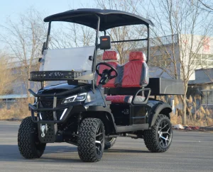 Europe Canada Hot Selling Electric Mini Golf Cart