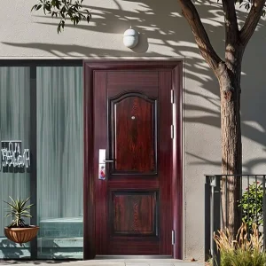 Stainless Steel Modern Anti-Theft Security Door