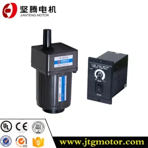 Micro AC Reversible Motor