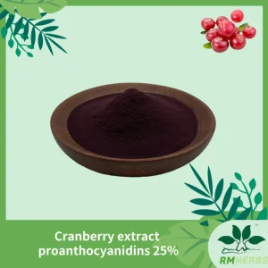 Premium Cranberry Extract with 25% Proanthocyanidins for Immune Support