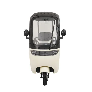 3-Wheel Electric Tricycle, Open-Body Passenger Model with 100-200kg Load