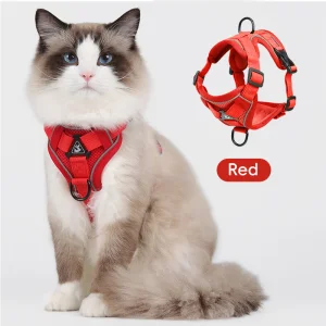 Customizable Harness