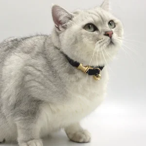 2026 New Arrival Pet Collars Soft Velvet Customizable Collars for Cats and Small Dogs