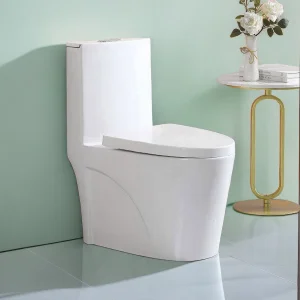 Ceramic One Piece Toilet Set Floor Mounted