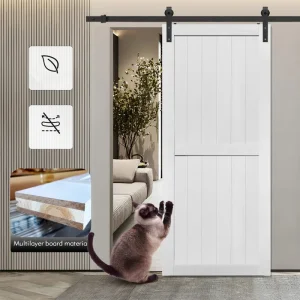 Sliding Door China