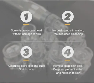 Portable Microdermabrasion Skin Care Machine