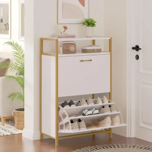 Modern Design Shoe Storage